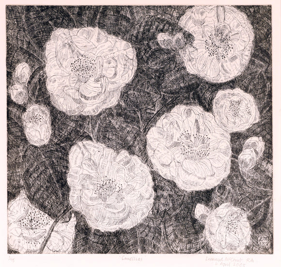 Leonard McComb - Camellias