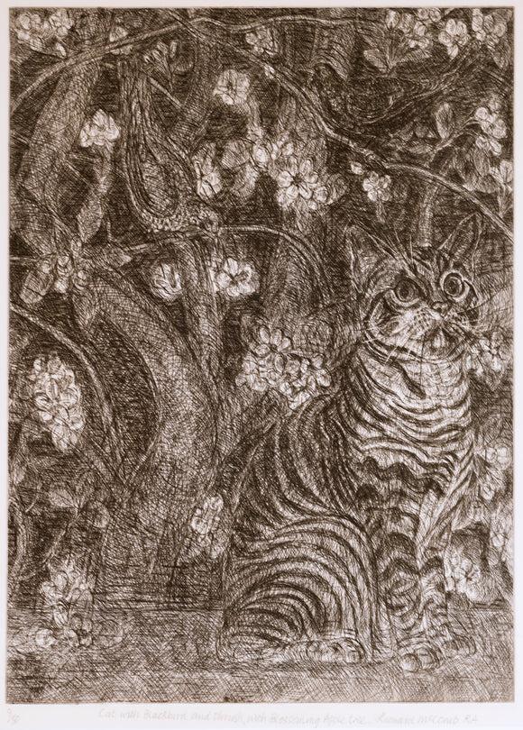 Leonard McComb - Cat, Blossom, Apple, Tree, Blackbird and Thrush