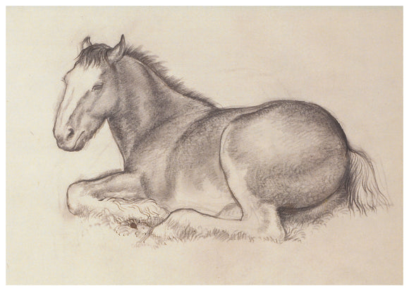 Tunnicliffe Card - Horse lying down