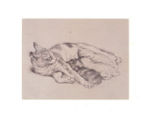 Tunnicliffe Print - Cat with Kittens