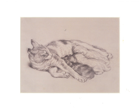 Tunnicliffe Print - Cat with Kittens