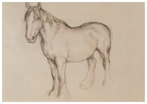Tunnicliffe - Cerdyn - Ceffyl