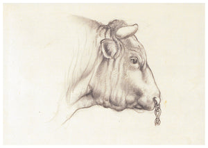 Tunnicliffe Card - Bull with chain