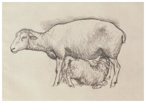 Tunnicliffe Card - Sheep with lamb