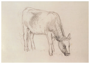 Tunnicliffe Card - Cow